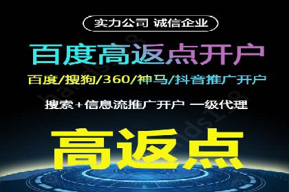 案例解析：百度推广排名提升的实战技巧